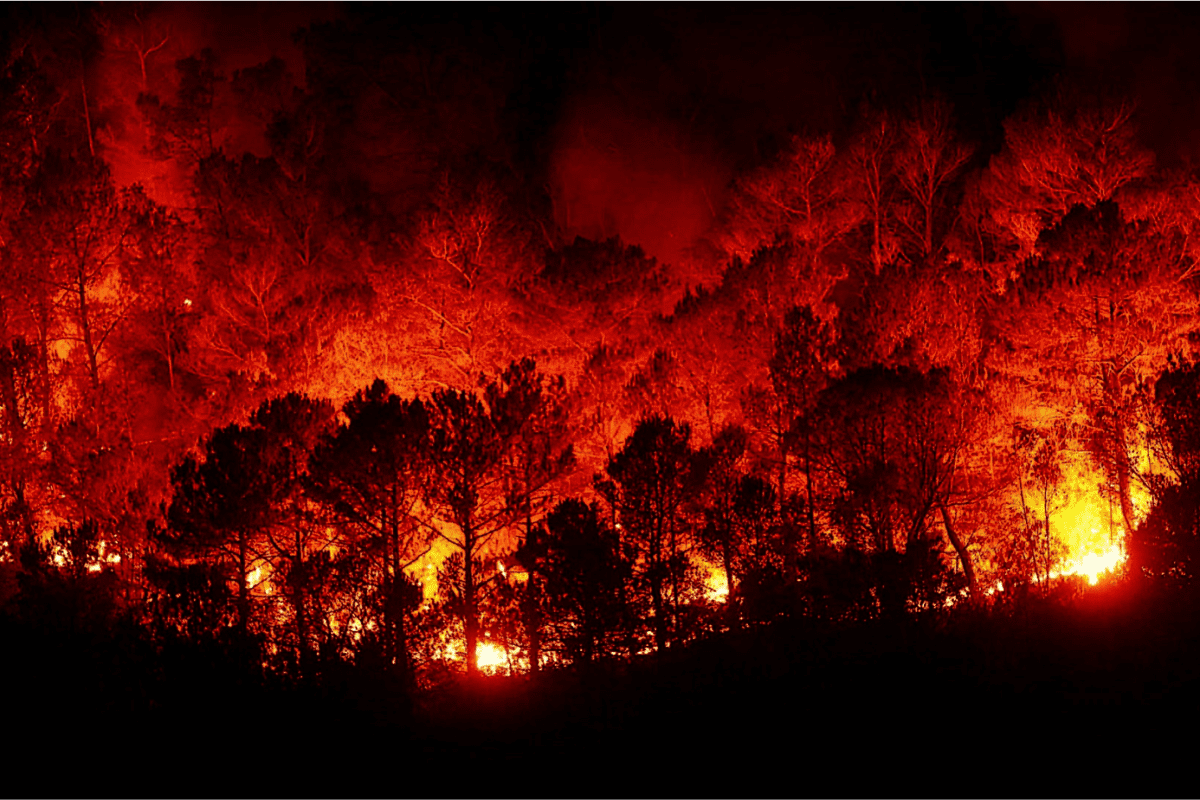 Incendios castigam hemisfério norte