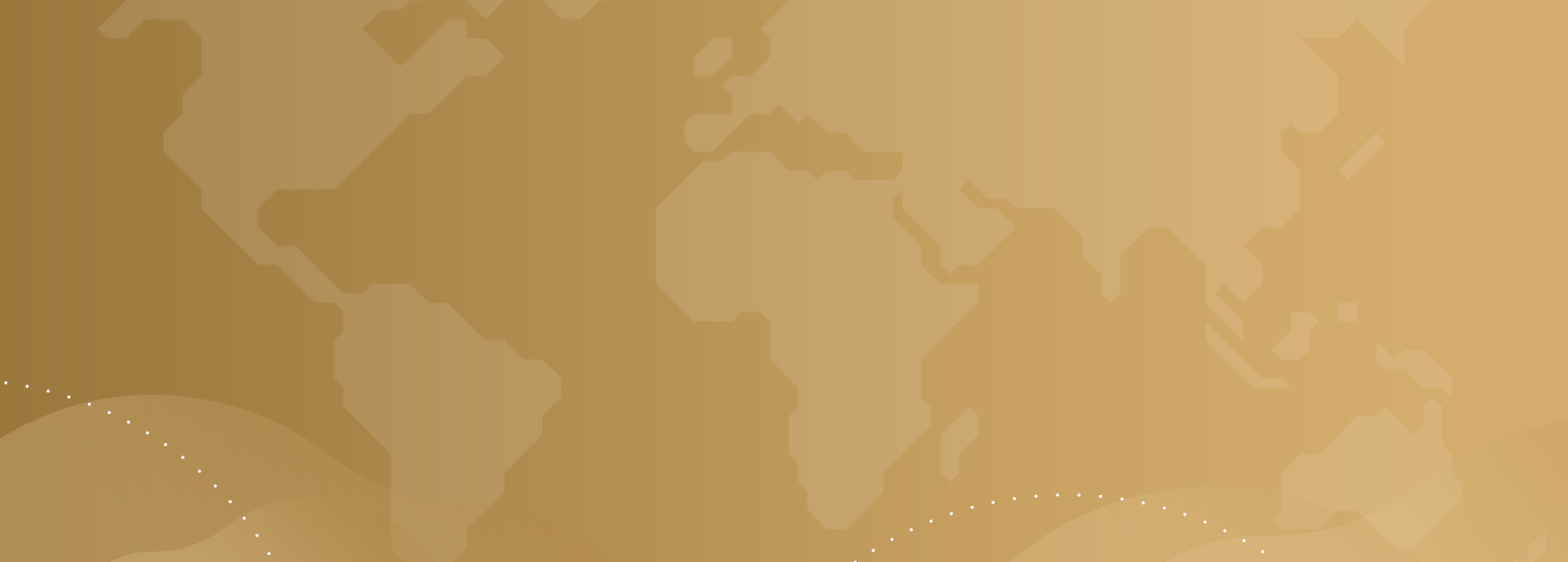 Lyra international payment