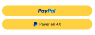 PayPal – Die erste digitale Geldbörse für den E-Commerce